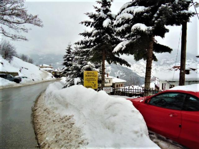 Hotel Acropolis Metsovo Luaran gambar